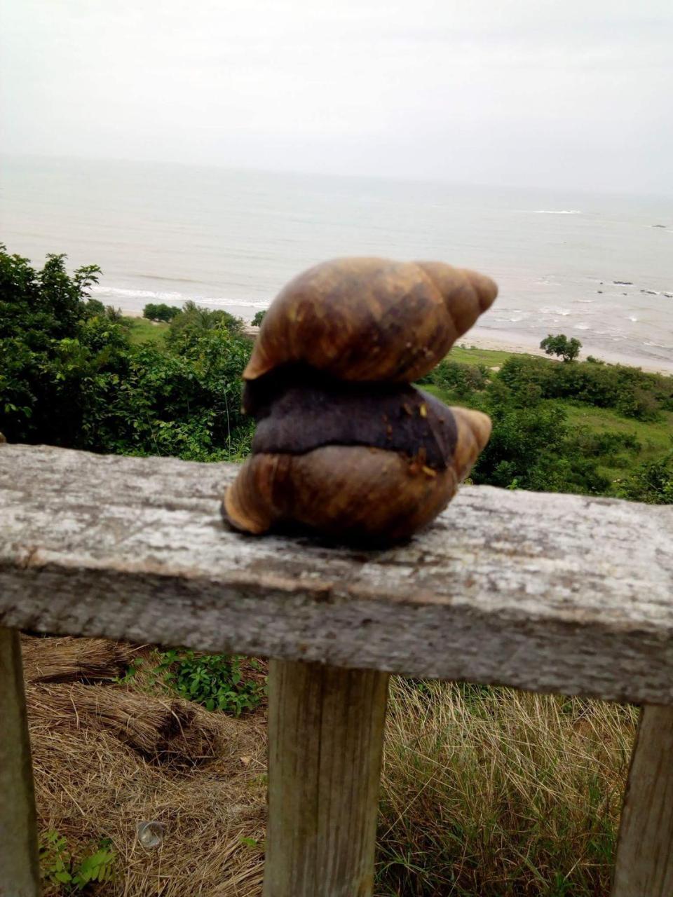 Abuesi Beach Resort Sekondi-Takoradi Zewnętrze zdjęcie